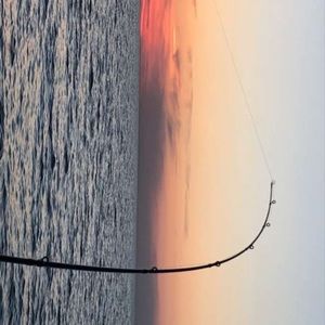 Meet your Posher, Ally